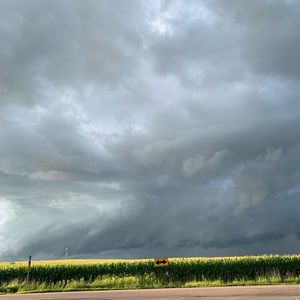 Meet your Posher, Jack